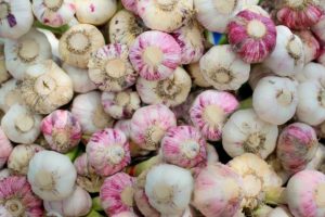 Kelowna garlic farmers markets